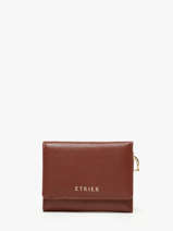 Leather Tradition Coin Purse S Etrier Brown tradition ETRA095S