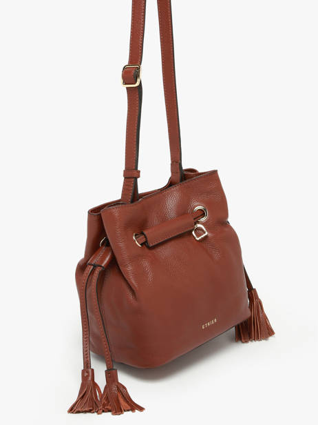 Small Leather Tradition Bucket Bag Etrier Brown tradition ETRA004S other view 2